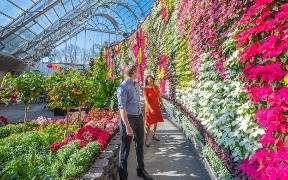 A person and person standing in a garden Description automatically generated