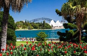 A view of a bridge and a city from a park Description automatically generated