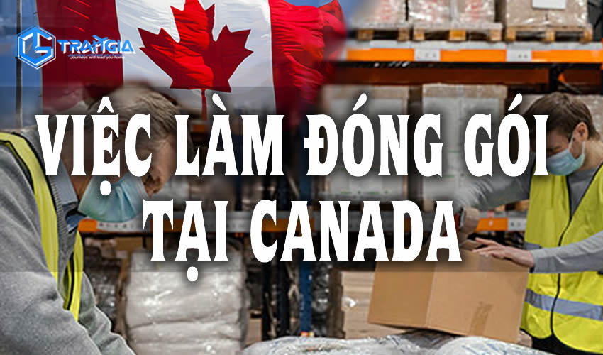 Read more about the article TUYỂN DỤNG VIỆC LÀM ĐÓNG GÓI TẠI CANADA