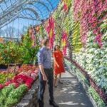 A person and person standing in a garden Description automatically generated