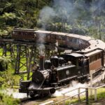 Khám phá toàn cảnh vẻ đẹp Úc từ tàu hơi nước Puffing Billy