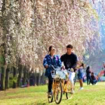 A person and person riding bikes on grass with trees and people AI-generated content may be incorrect.
