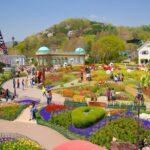 Everland - Công viên giải trí hàng đầu Hàn Quốc