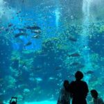 People looking at fish in a tank Description automatically generated
