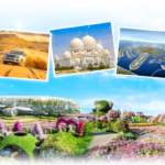 A collage of pictures of a desert landscape Description automatically generated