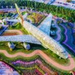 An airplane statue in a garden Description automatically generated