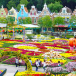Khám phá Công viên giải trí Everland - IDCedu Tư vấn du học quốc tế