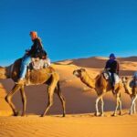 Khám phá top 22 địa điểm du lịch Dubai nổi tiếng không thể bỏ lỡ