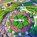 Vườn hoa lớn nhất thế giới trong lòng sa mạc - VnExpress Du lịch