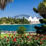 A view of a bridge and a city from a park Description automatically generated