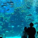 People looking at fish in a tank Description automatically generated