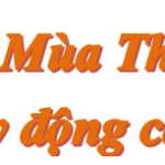 word-image-5402-2
