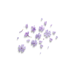 word-image-5590-4