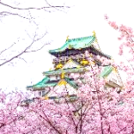 大阪で桜を楽しむ：おすすめの12スポット