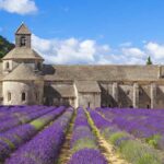 Tu viện Abbaye de Sénanque xinh đẹp với hoa oải hương ngọt ngào