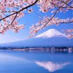 word-image-5824-17