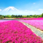 word-image-5858-10