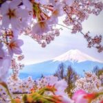 word-image-5858-3