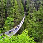 Cầu Treo Capilano - Công Trình Ấn Tượng Tại Xứ Sở Lá Phong