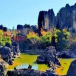 将近3亿年才形成的美景❗️杏林大观园攻略_1_临水照花呀_来自小红书网页版