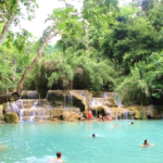 A group of people swimming in a pool Description automatically generated
