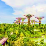 Cùng khám phá Garden by the Bay có gì hấp dẫn triệu du khách?