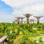 Cùng khám phá Garden by the Bay có gì hấp dẫn triệu du khách?