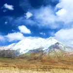 word-image-7737-8