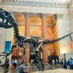 A dinosaur skeleton in a museum Description automatically generated